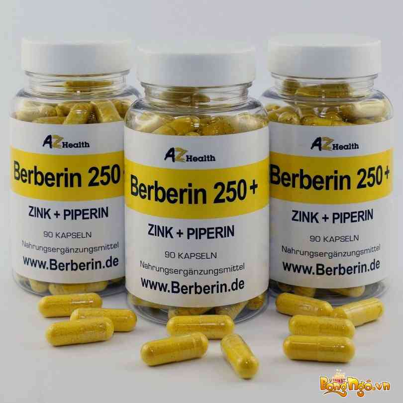 Tác dụng của thuốc Berberin ? Cách sử dụng an toàn và hiệu quả